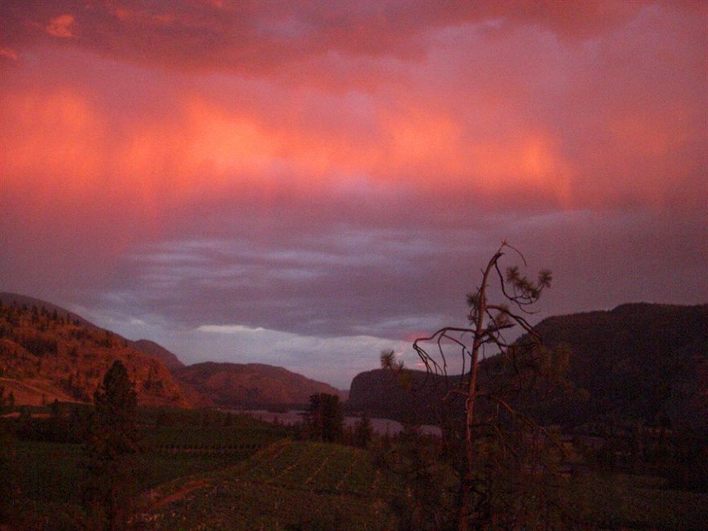 Bighorn Ridge Guesthouse Okanagan Falls Exterior foto